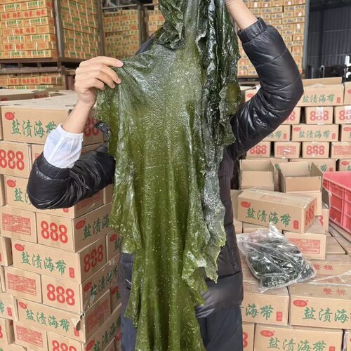 迅海饭包海带少盐净重5斤
