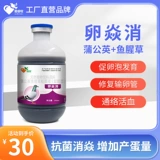 Airuimu Ovyanxiao используется в разведении голубей и гоночных голубей для увеличения яйценоскости и снижения количества неоплодотворенных яиц.