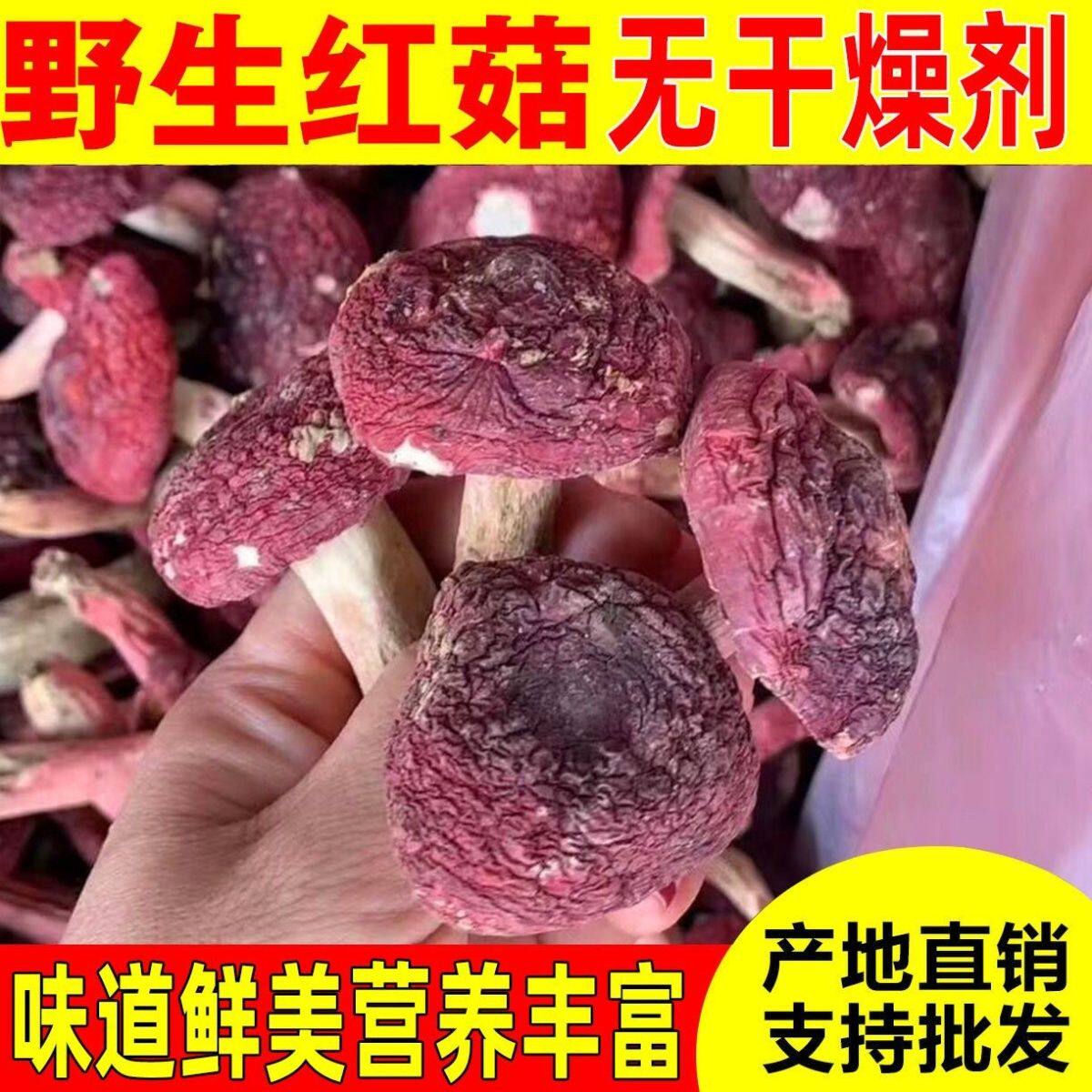 野生红菇干货特级红蘑菇无硫红菇正宗月子菇红菌子特产包邮