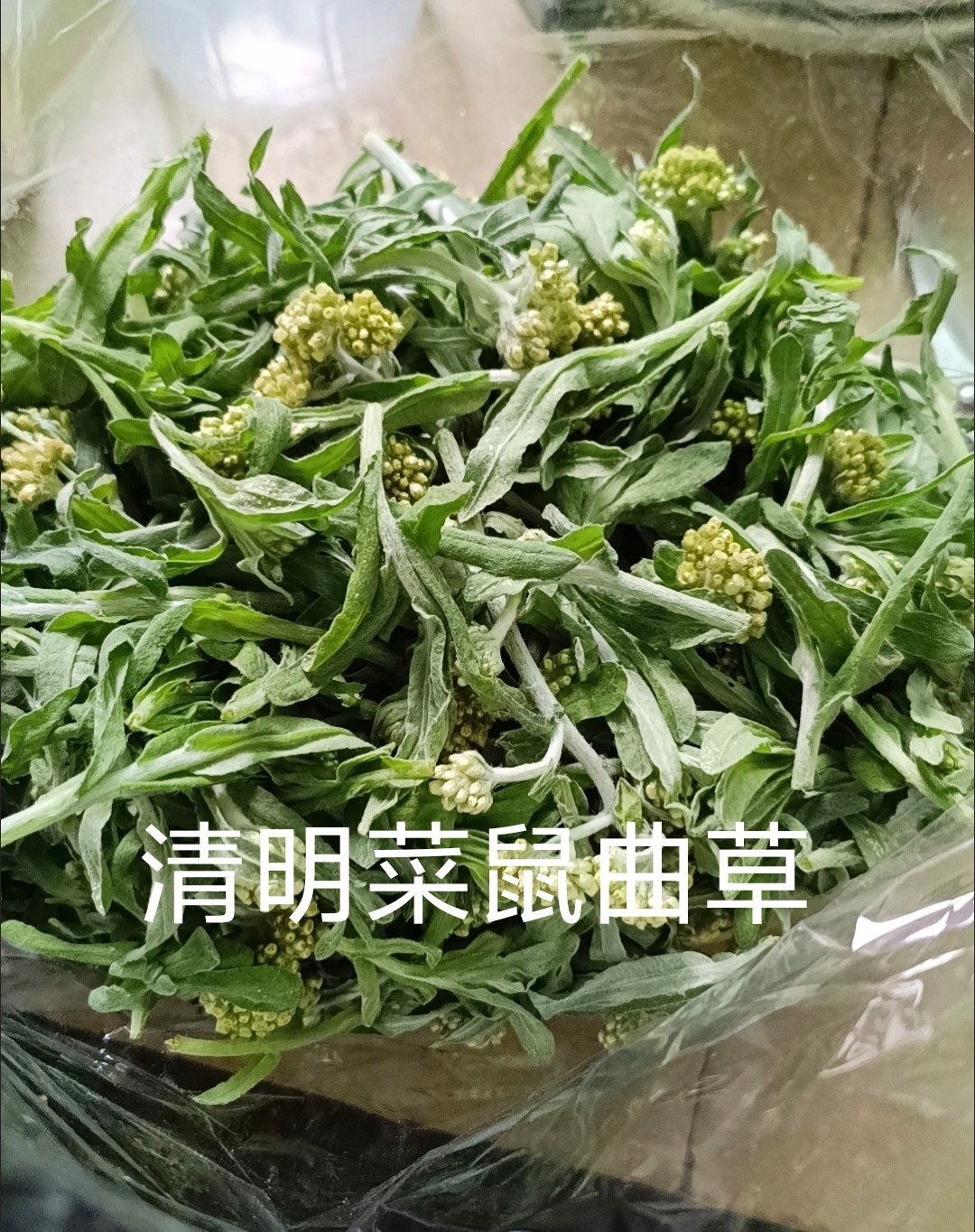 鼠曲草新鲜现挖艾草粑粑糍粑青团