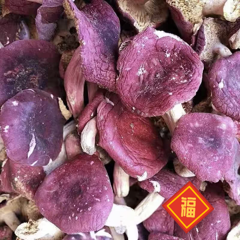 新菇野生红菇干货农家土特产正品红菇红菌蘑菇煲汤特产正宗月子菇