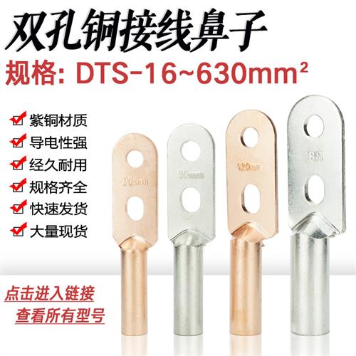 双孔铜鼻子DTS25/50/70/95/150/240/300平方电缆铜接头双眼铜线鼻