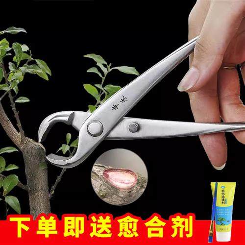 辛禾球节剪盆景球形剪树节剪盆栽剪枝剪专用造型制作工具套装,鲜花速递/花卉仿真/绿植园艺,剪刀,淘宝优惠券,粉丝福利购,淘宝优惠卷