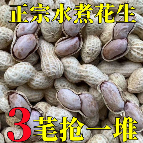 龙岩花生卤煮花生带壳蒜香五香原味盐水水煮花生米熟炒货零食真空
