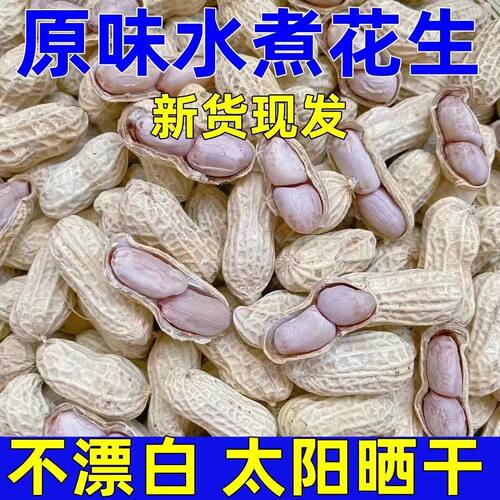 正宗龙岩水煮花生日熟带壳盐水卤水味五香原味蒜蓉味酥脆零食下酒