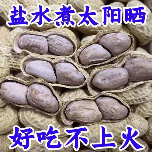 水煮花生龙岩花生新鲜水煮花生白晒干正宗咸香花生带壳花生袋装