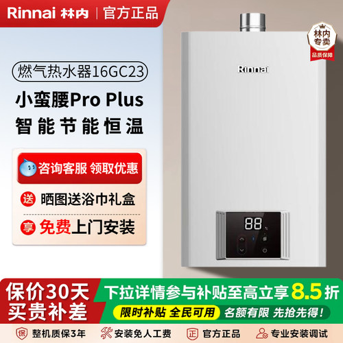 林内智能恒温16升强排式