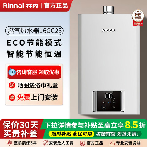 林内智能恒温16升强排式