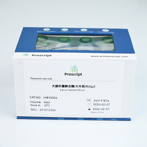 大肠杆菌聚合酶I大片段 MB12004 科研试剂   低误差 助力科研突破