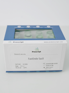 FastEndo® SacII RE1069 限制性内切酶 克隆 基因构建