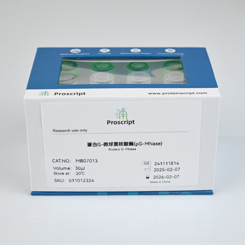 蛋白G-微球菌核酸酶(pG-MNase) MB07013 科研试剂  助力科研突破