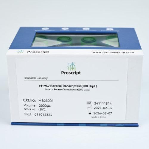 M-MLV Reverse Transcriptase(200 U/μL) MB03001科研试剂现货