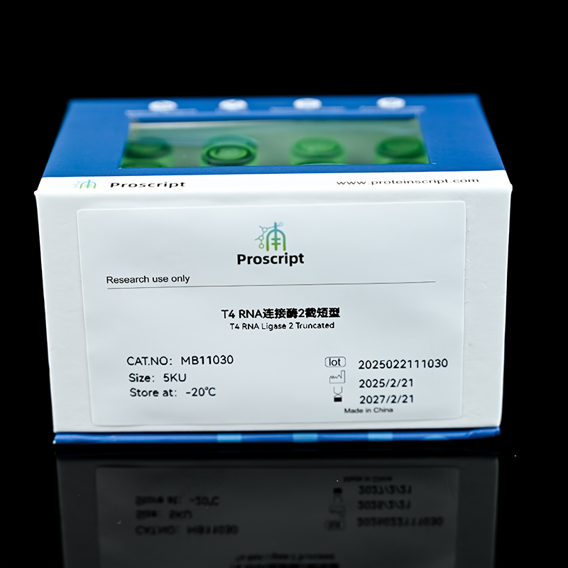 T4 RNA连接酶2截短型 MB11030 科研试剂 现货供应