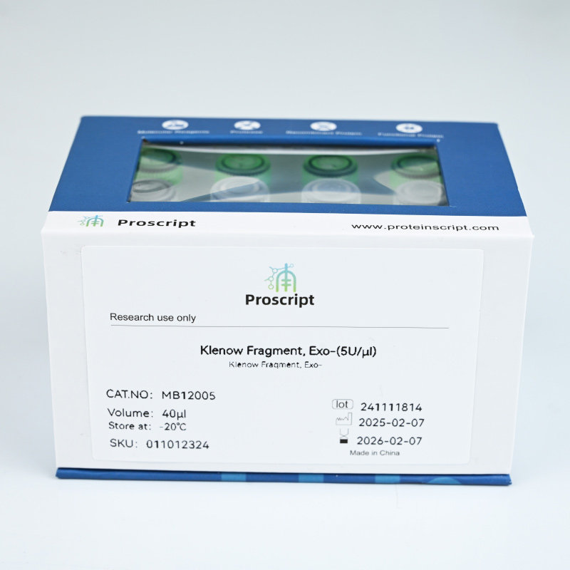 Klenow Fragment, Exo- MB12005 科研试剂 现货供应