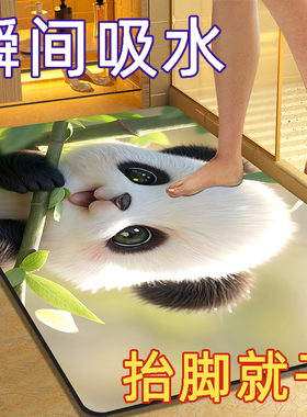 硅藻泥吸水垫卫生间软垫浴室防滑速干门口脚垫家用洗手间厕所门垫