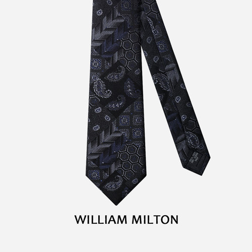 WILLIAMMILTON佩斯利梦境领带男