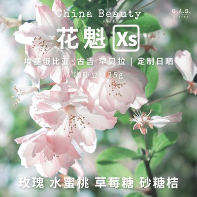 GAS COFFEE咖啡豆花魁XS埃塞古吉25新产季日晒G1花香新鲜烘焙
