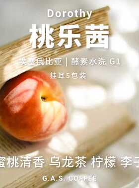 GAS COFFEE挂耳咖啡桃乐茜安娜索拉埃塞G1水洗黑咖啡新鲜烘焙10包