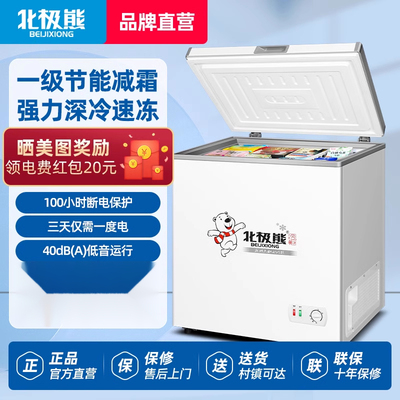 北极熊家用租房节能小型冰柜无霜迷你冰箱全冷冻冷藏两用雪糕冷柜