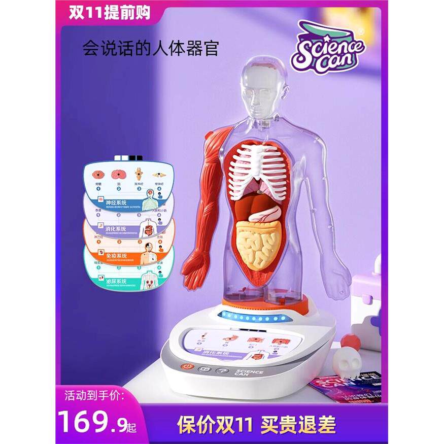 科学罐头人体解剖模型器