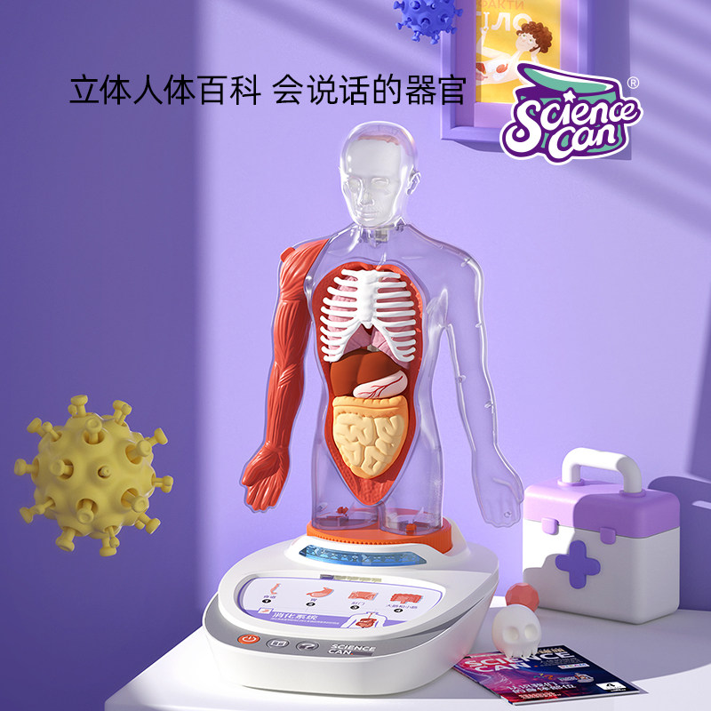 科学罐头我们的身体0-3-6