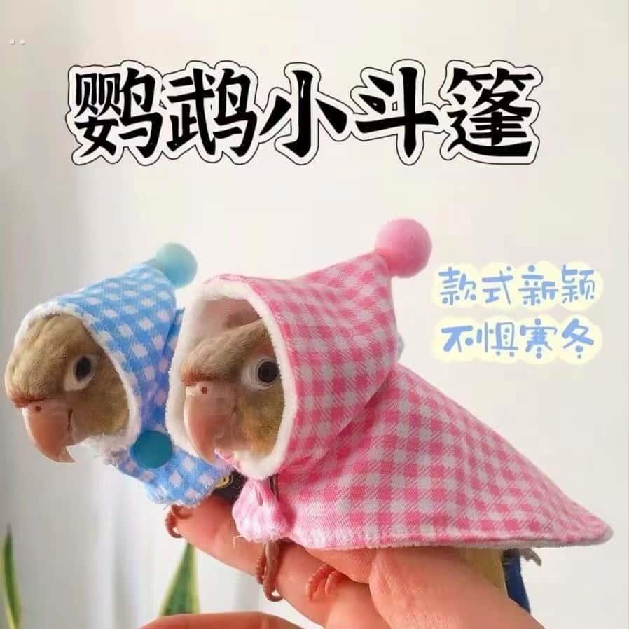 宠物鹦鹉披风加厚透气保暖虎皮牡丹玄风外出外套防飞冬日可爱斗篷