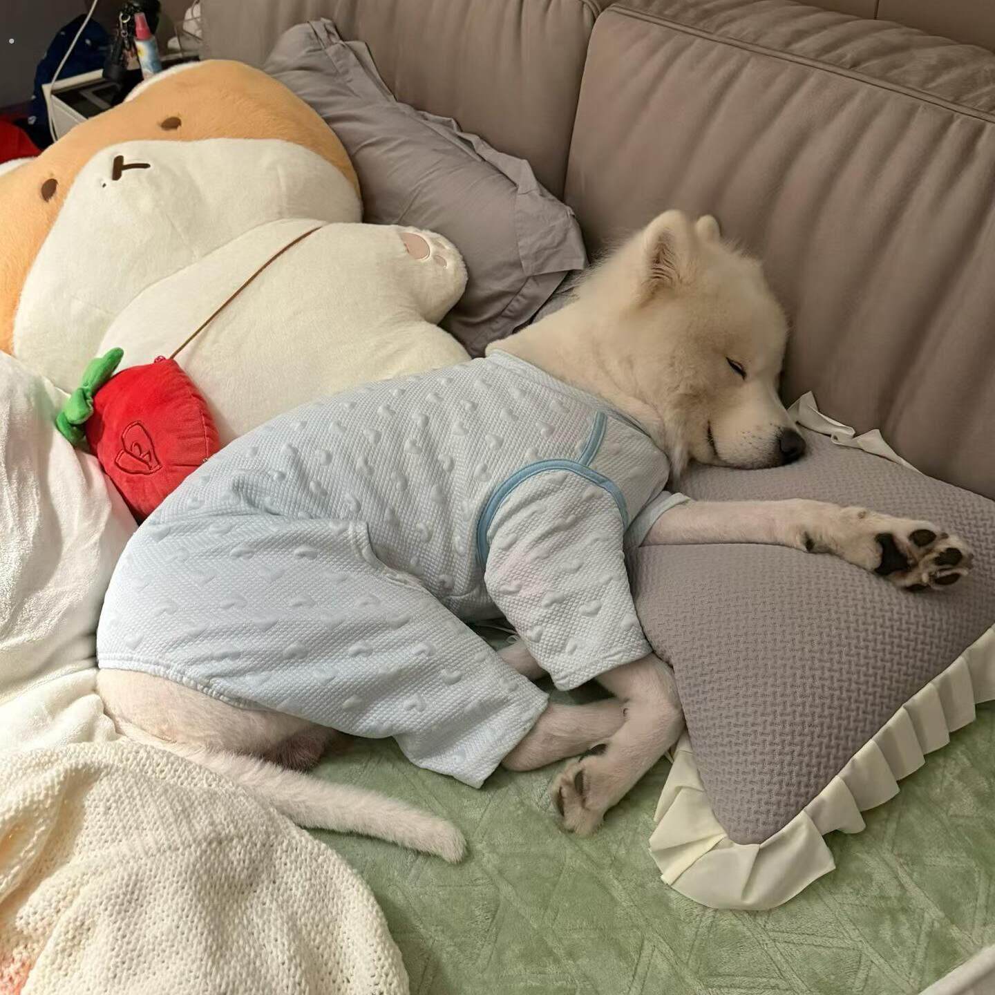 狗狗衣服四脚衣空调服防着凉睡衣护肚子中大型犬宠物薄款睡衣透气