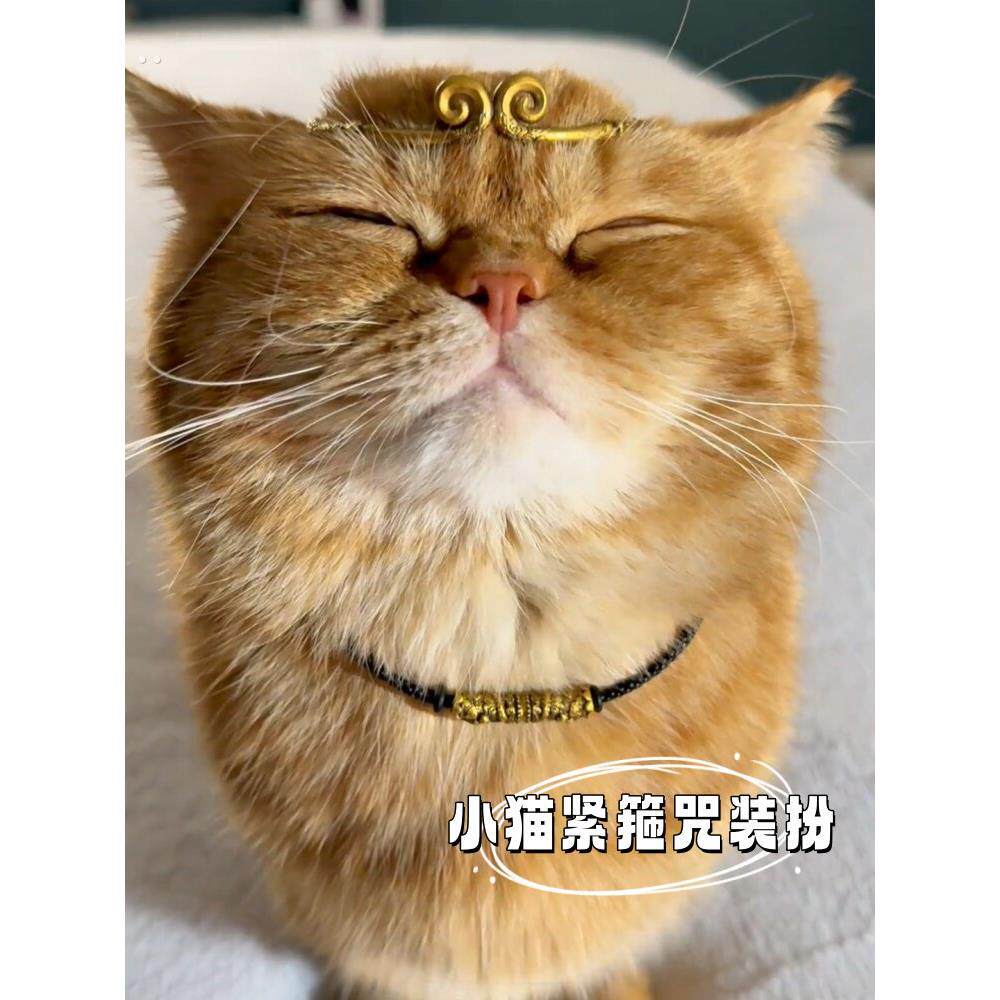 小猫装扮节日有趣装扮孙悟空生日装饰照片道具头带猫和狗宠物用品