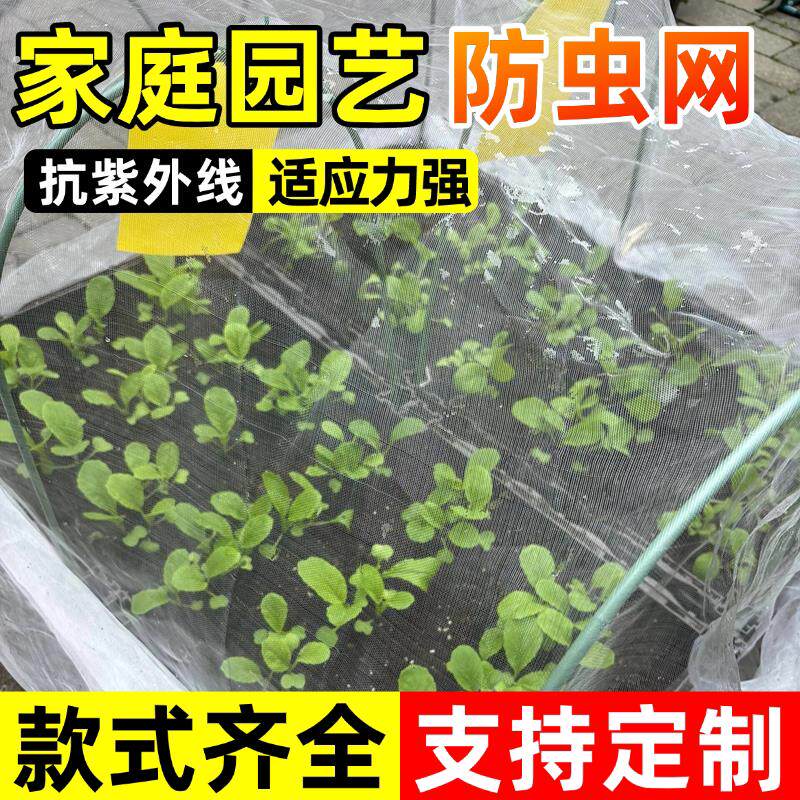 纱网防虫网大棚专用农用养殖网蔬菜网蝗虫果树果园种菜专用防虫网