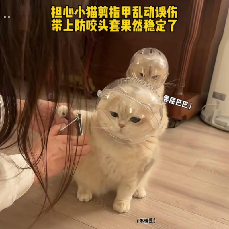 猫咪太空宠物头罩防咬人神器头套圈洗澡剪指甲防舔罩幼猫小猫夏天