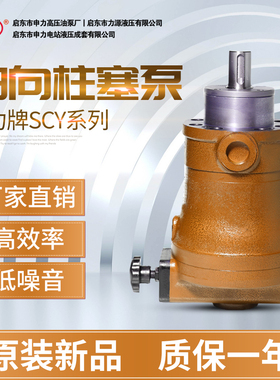 400scy14变量-力高/1b压申启东/手动/油泵108160轴向250柱塞泵