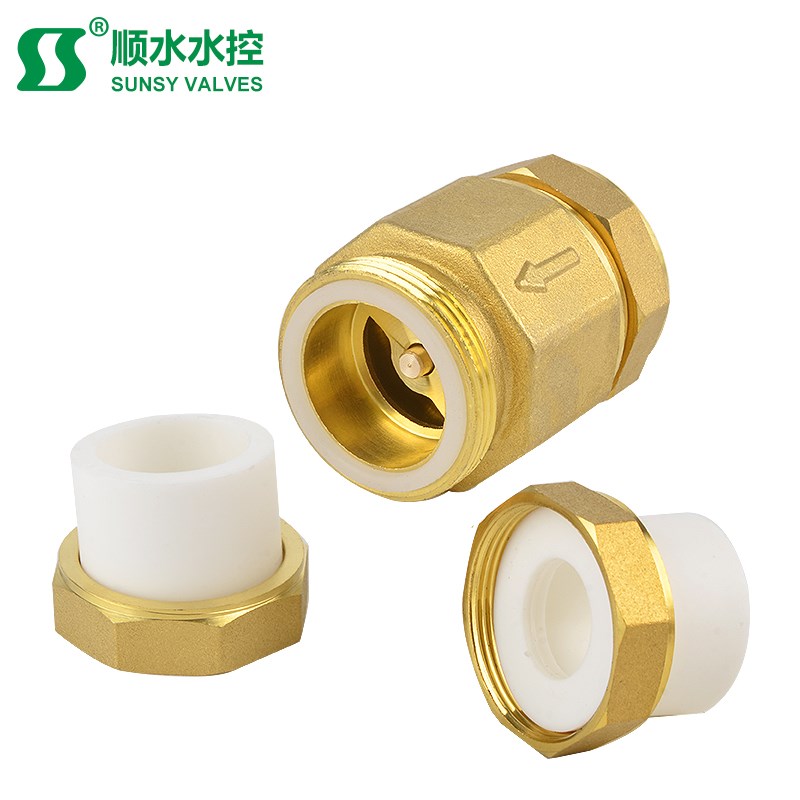 热熔活接PPR20黄铜PE立式弹簧止回阀返止水逆流自来水管4分6分1寸