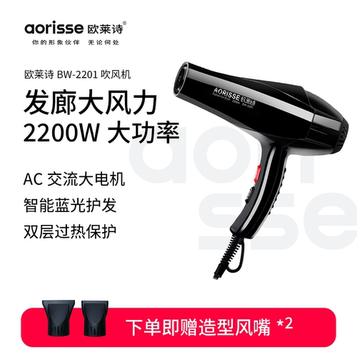 欧莱诗家用大功率速干电吹风机