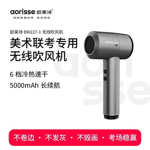 欧莱诗美术联考大容量充电吹风机