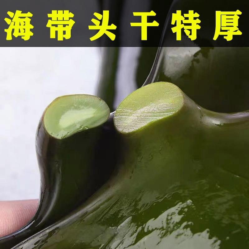 福建霞浦海带头特厚特级干货海带根海带头加厚免洗自产一级海带8