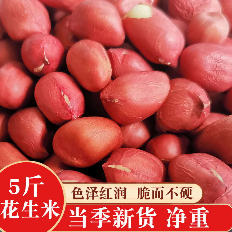 大颗粒新货红皮花生米生的商用去壳去皮红衣花生仁批发优质杂粮