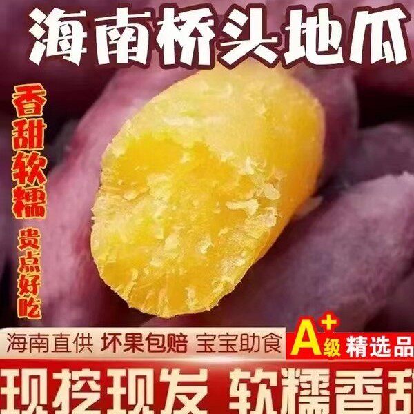 自家种植海南澄迈沙地桥头富硒地瓜农家新鲜红薯板栗番薯 5斤9斤