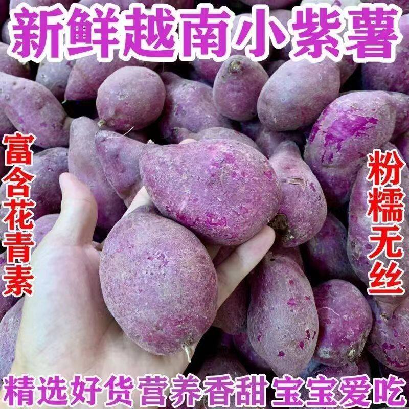 正宗越南小紫薯珍珠板栗紫薯新鲜番薯