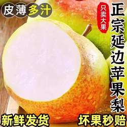 东北特产延边吉龙井苹果梨霜后应季新鲜孕妇水果现摘脆甜整箱10斤