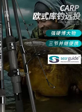 欧鲤钓远投竿CARP三节并继3.5磅