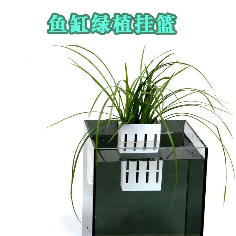 鱼缸绿植水草造景固定架