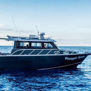 厂家直营铝合金钓鱼艇私人游艇休闲钓鱼船铝船出海船海钓船铝船