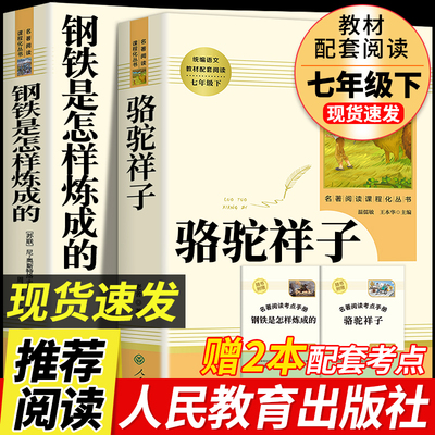 骆驼祥子和钢铁是怎样炼成的七下