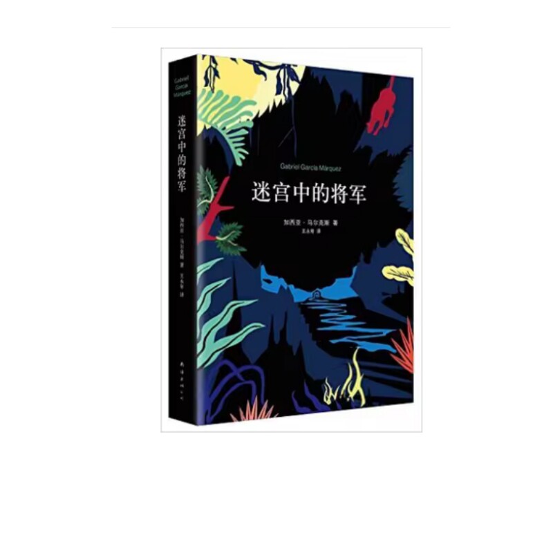【微瑕】马尔克斯：迷宫中的将军 定价39.5元 ZP怎么看?