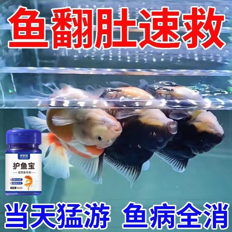 【急救翻肚】护鱼宝鱼病专用康复药烂尾白点白毛掉磷蒙眼杀菌消炎