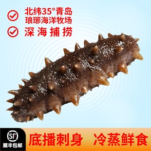 高品质深2斤海即食海参开袋鲜食冷冻刺参孕妇滋补礼品盒独立包装