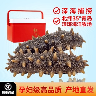 高品质深4斤海即食海参开袋鲜食冷冻刺参孕妇滋补礼品盒独立包装