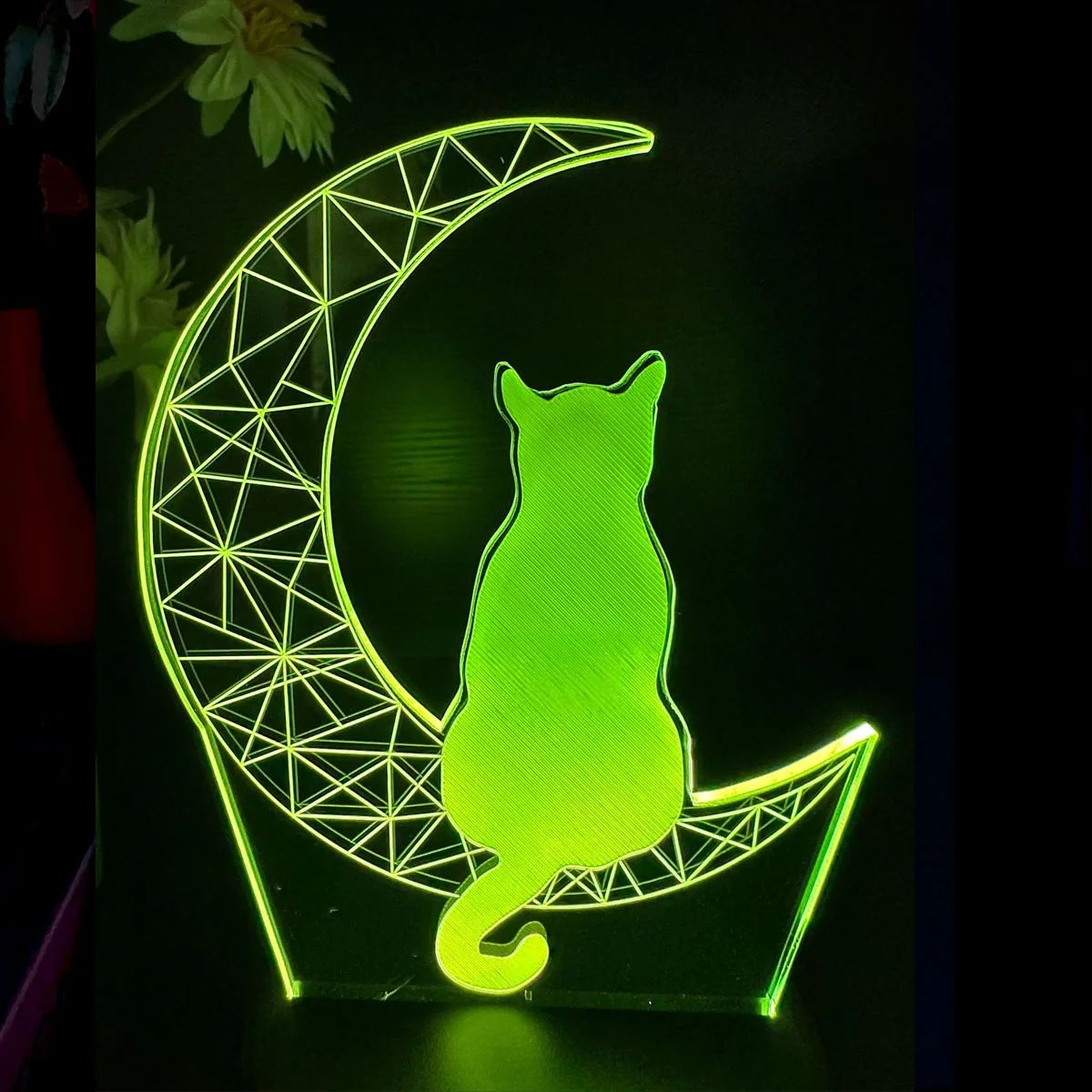 1pc Moon Cat 3D Night Light, 3D Optical Illusion Lamp With T
