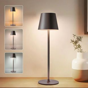 Cordless Rechargeable Led Table Lamp Touch Sensor Desktop Ni