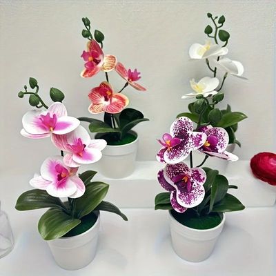 Artificial orchid, home/office decoration - display of livin